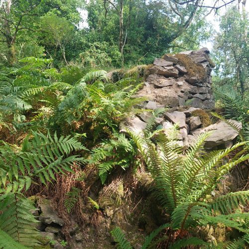 Guided Walk to Glenary Famine Village