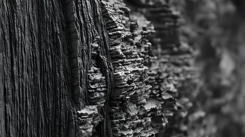 Clonmel Art Trail: Unconformities by Bridget O’Gorman