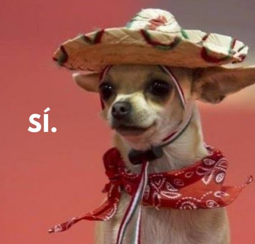 Spanish Beginner Course