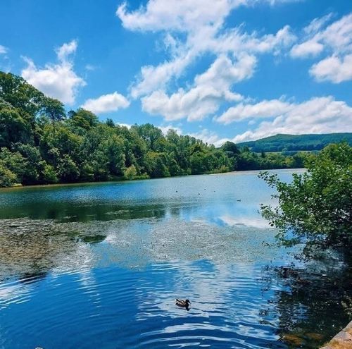 Marlfield History & Nature Walk & Medieval Ink Workshop