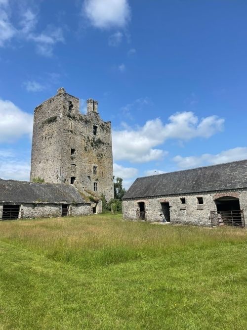 The Tower, the Owl and the Meadow