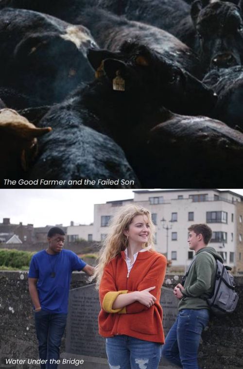 Double Bill: The Good Farmer and the Failed Son and Water Under the Bridge with Q&A