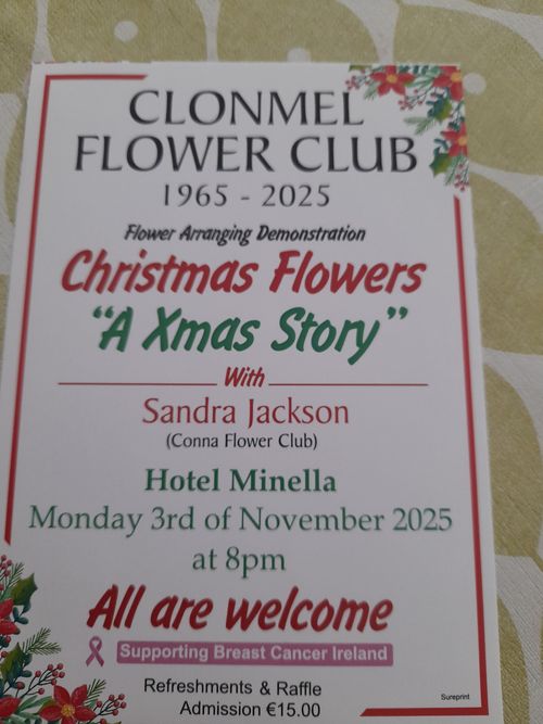 Christmas Flowers