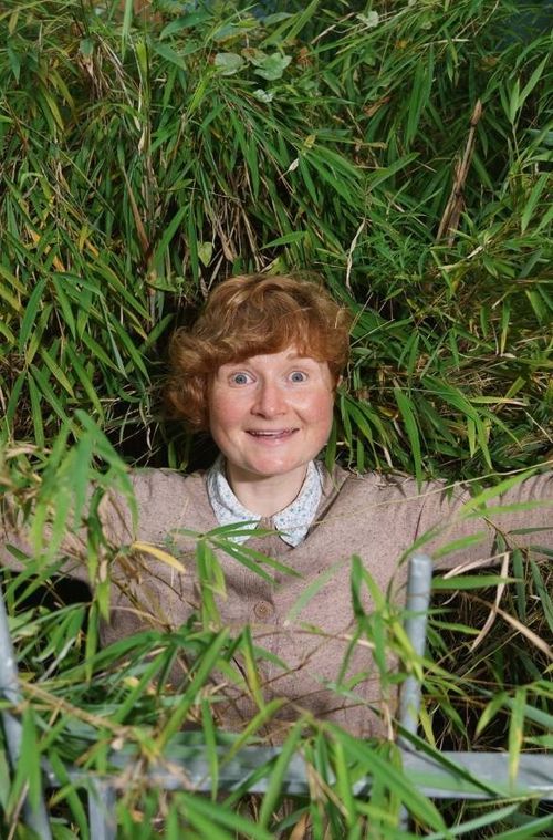 Áine Gallagher, Guerilla Gaeilge